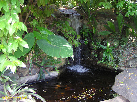 To_Botanic_Garden_Waterfall